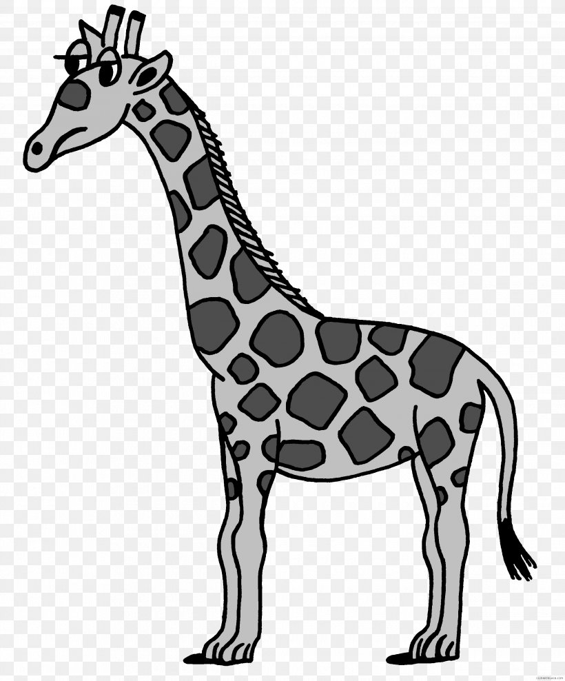 Giraffe Clip Art Image Free Content Drawing, PNG, 2630x3170px, Giraffe, Animal, Animal Figure, Black And White, Cartoon Download Free