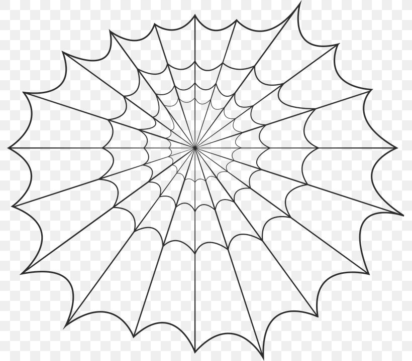 Spider Silk Spider Web Ярмарка Мастеров Online Shopping, PNG, 791x720px, Spider, Area, Black And White, Drawing, Flower Download Free