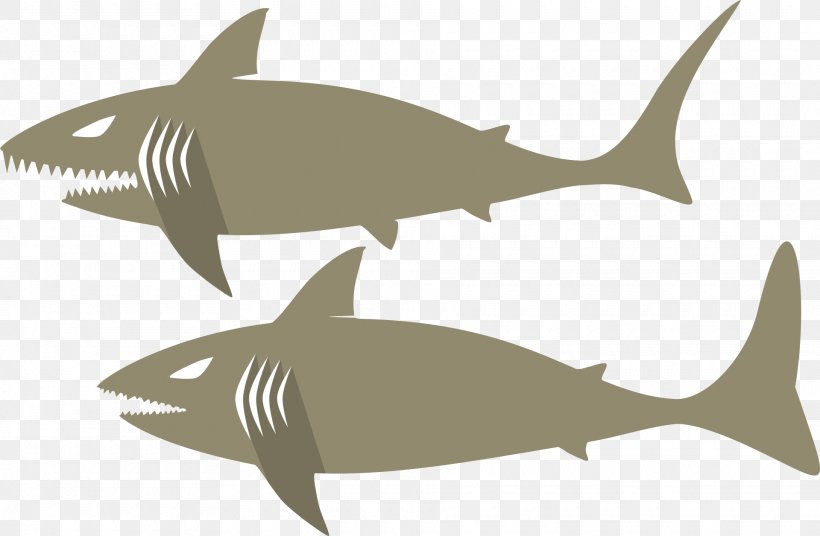 Squaliformes Fish Requiem Shark Clip Art, PNG, 1920x1256px, Squaliformes, Animal, Carcharhinus Amblyrhynchos, Cartilage, Cartilaginous Fish Download Free