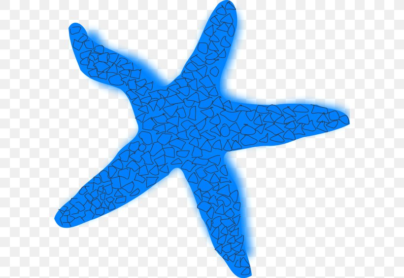 Starfish Brittle Star Clip Art, PNG, 600x563px, Starfish, Animal, Aqua, Blog, Brittle Star Download Free