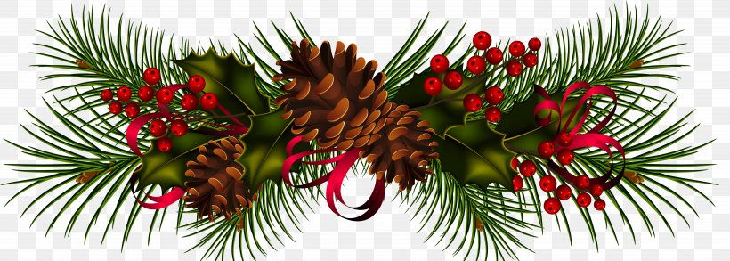 Conifer Cone Christmas Pine Tree Clip Art, PNG, 5662x2030px, Conifer Cone, Branch, Christmas, Christmas Decoration, Christmas Ornament Download Free