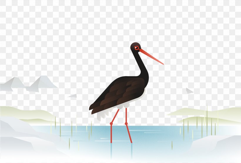 Crane Heron Bird Stork, PNG, 3427x2319px, Crane, Beak, Bird, Ciconiiformes, Crane Like Bird Download Free