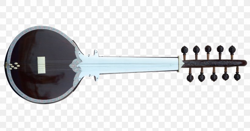 Sursingar Plucked String Instrument Musical Instruments String Instruments Musician, PNG, 1200x630px, Watercolor, Cartoon, Flower, Frame, Heart Download Free
