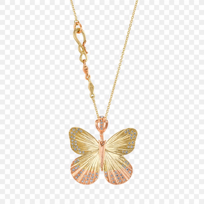 Butterfly Locket Necklace Charms & Pendants Jewellery, PNG, 2000x2000px, Butterfly, Amber, Birdwing, Body Jewelry, Chain Download Free