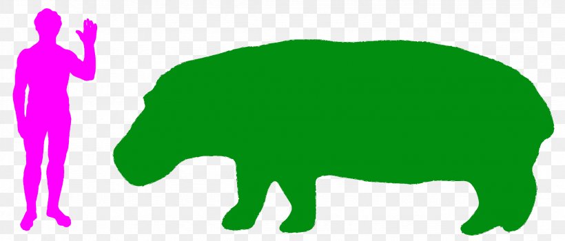 Hippopotamus Turtle Rhinoceros Animal Horse, PNG, 2157x921px, Hippopotamus, Animal, Bear, Canidae, Carnivoran Download Free