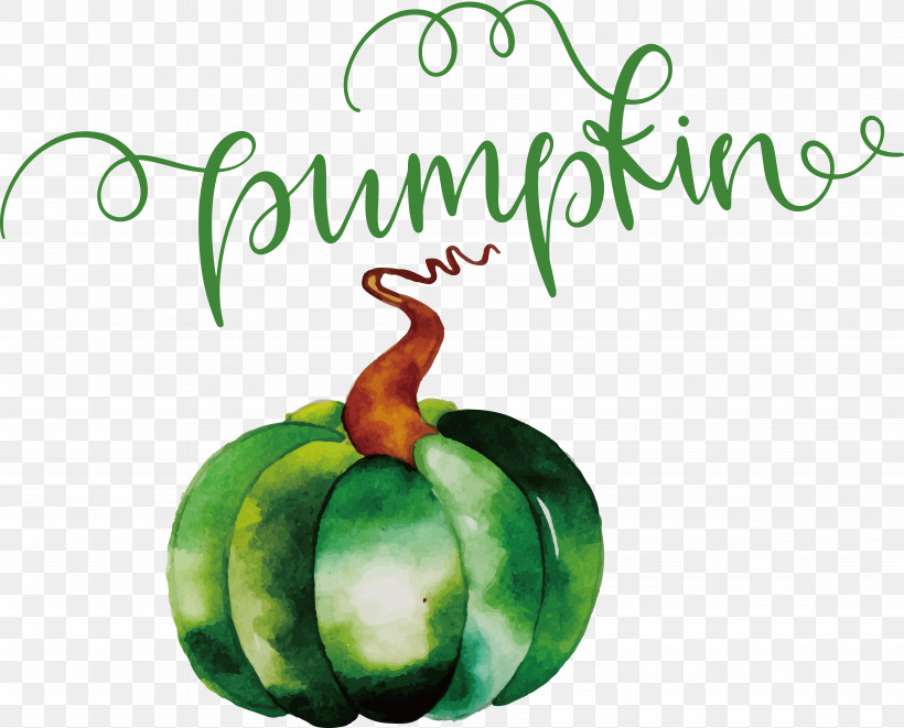 Pumpkin, PNG, 7121x5748px, Pumpkin, Autumn Download Free