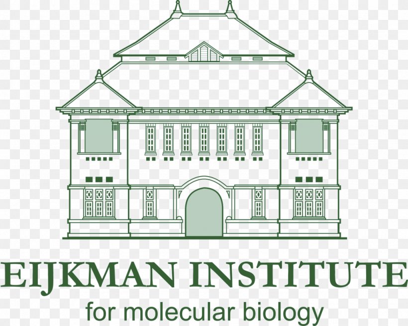 Eijkman Institute For Molecular Biology Research Logo Faculty, PNG, 1024x818px, Research, Area, Artwork, Brand, Building Download Free