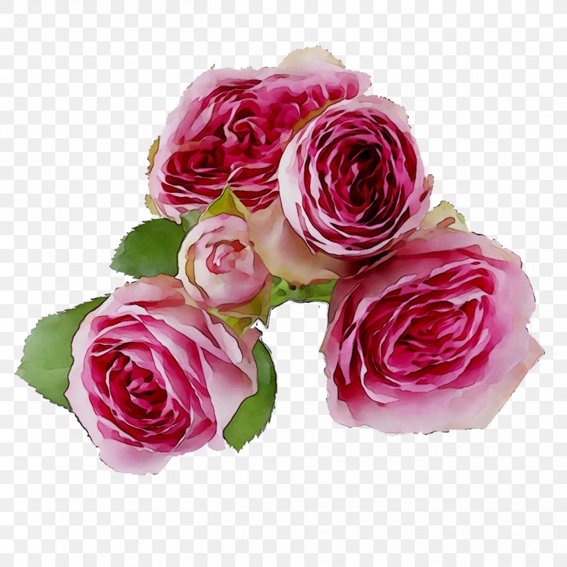 Garden Roses Cabbage Rose Floribunda Floral Design Cut Flowers, PNG, 1208x1208px, Garden Roses, Artificial Flower, Bouquet, Cabbage Rose, Camellia Download Free
