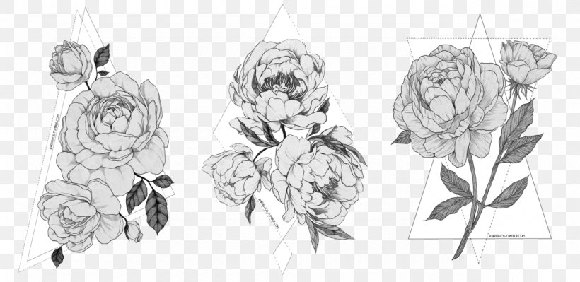 Sketch Drawing Peony Illustration Image, PNG, 1280x623px, Drawing, Art, Artist, Artwork, Black And White Download Free