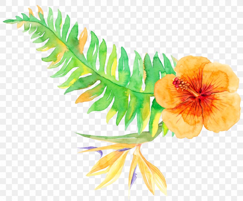 Tropics Tropical Vegetation, PNG, 2233x1844px, Tropics, Branch, Coconut, Floral Design, Flower Download Free