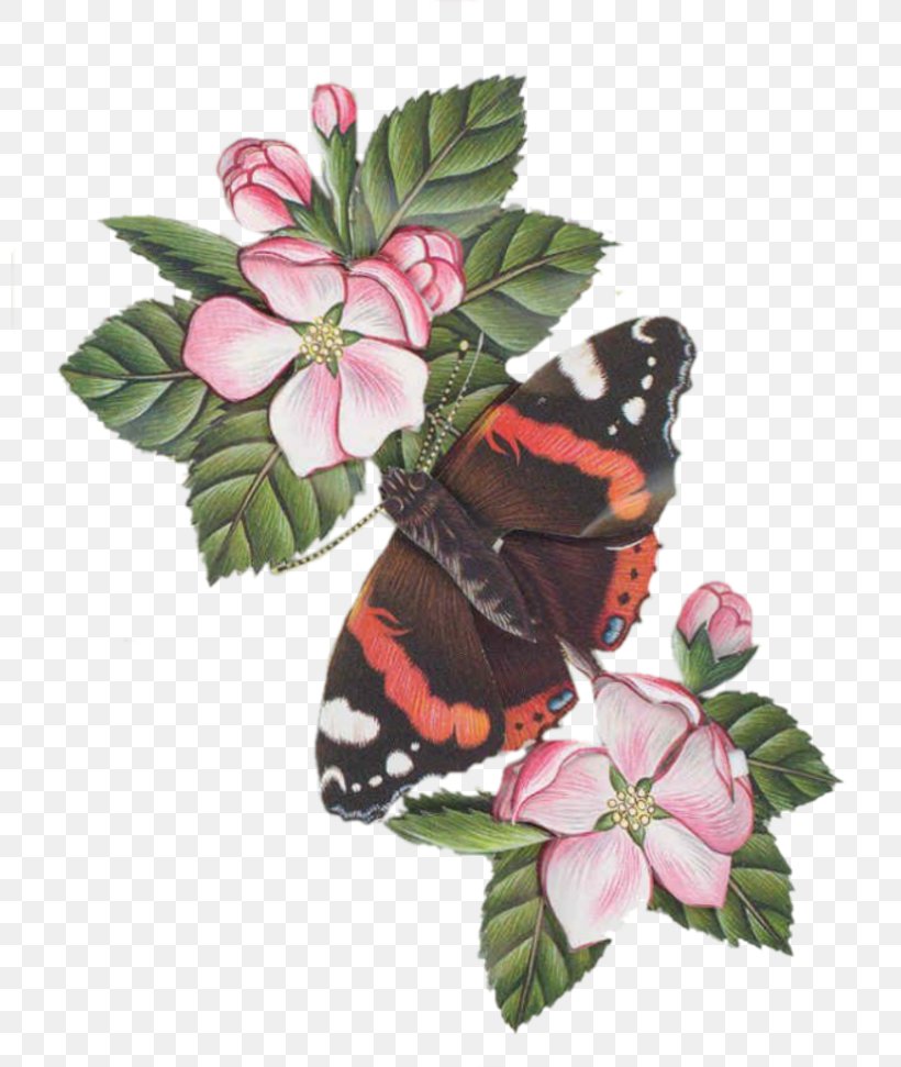 Brush-footed Butterflies Butterfly Rose Family Cut Flowers, PNG, 800x971px, Brushfooted Butterflies, Arthropod, Brush Footed Butterfly, Butterfly, Cut Flowers Download Free