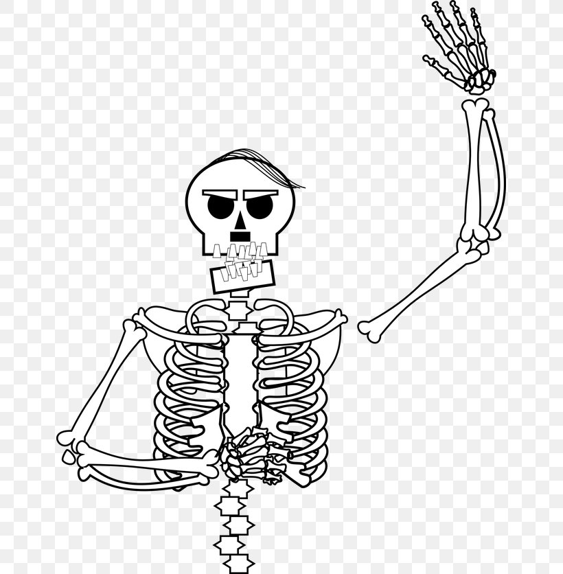 Homo Sapiens Human Skeleton Line Art Bone Clip Art, PNG, 655x836px, Watercolor, Cartoon, Flower, Frame, Heart Download Free