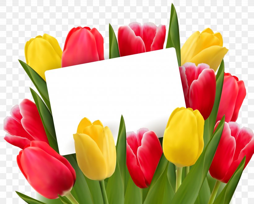 Tulip Cut Flowers Clip Art, PNG, 3840x3092px, Tulip, Cut Flowers, Floral Design, Floristry, Flower Download Free