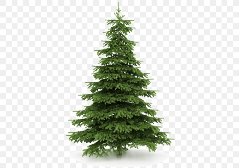 Artificial Christmas Tree Christmas Decoration, PNG, 387x577px, Artificial Christmas Tree, Balsam Fir, Balsam Hill, Biome, Cedar Download Free