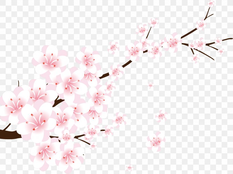 Flower Line Art, PNG, 1434x1073px, Peach, Blossom, Branch, Cherry Blossom, Flower Download Free
