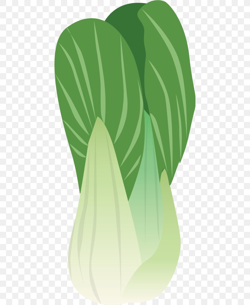 Napa Cabbage Brussels Sprout Vegetable, PNG, 463x1000px, Cabbage, Bok Choy, Brassica Oleracea, Brussels Sprout, Cartoon Download Free