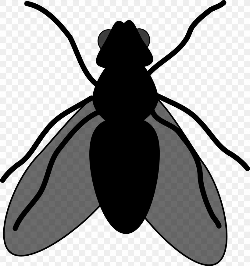 Beetle Clip Art Character Cartoon Silhouette, PNG, 1803x1920px, Beetle, Blackandwhite, Cartoon, Character, Fiction Download Free