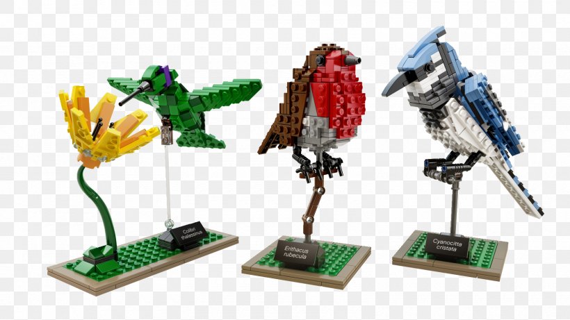 Bird Lego Ideas LEGO Friends Amazon.com, PNG, 1600x900px, Bird, Amazoncom, Bricklink, Figurine, Lego Download Free
