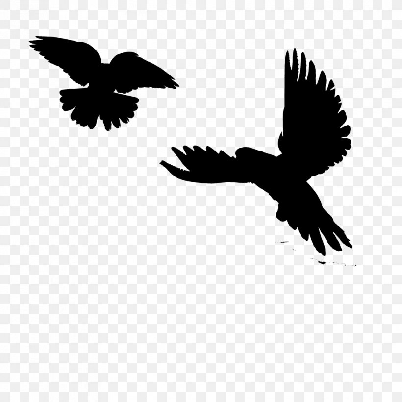 Eagle Logo, PNG, 1032x1032px, Silhouette, Beak, Bird, Black White M, Blackandwhite Download Free