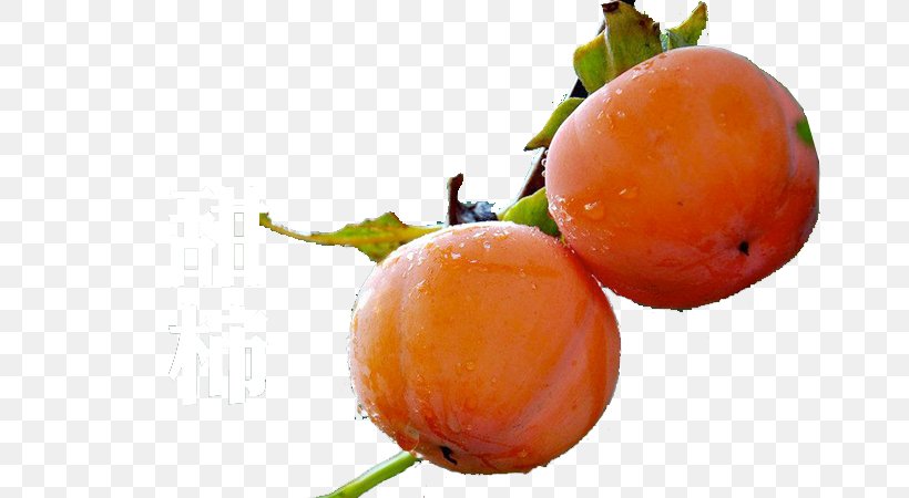 Persimmon Clementine Fruit, PNG, 790x450px, Persimmon, Apple, Citrus, Clementine, Diospyros Download Free