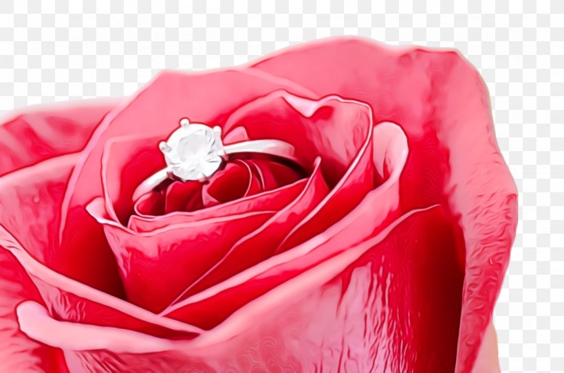 Wedding Love Background, PNG, 1228x814px, Rose, Anniversary, Beauty, Bloom, Blossom Download Free