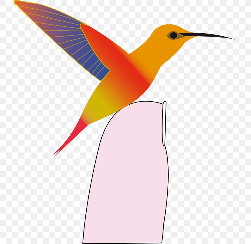 Black-chinned Hummingbird Beak Clip Art, PNG, 727x800px, Hummingbird, Beak, Bird, Blackchinned Hummingbird, Drawing Download Free