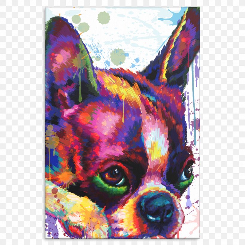 Boston Terrier Dog Breed Non-sporting Group Fawn Art, PNG, 1024x1024px, Boston Terrier, Art, Breed, Carnivoran, Dog Download Free