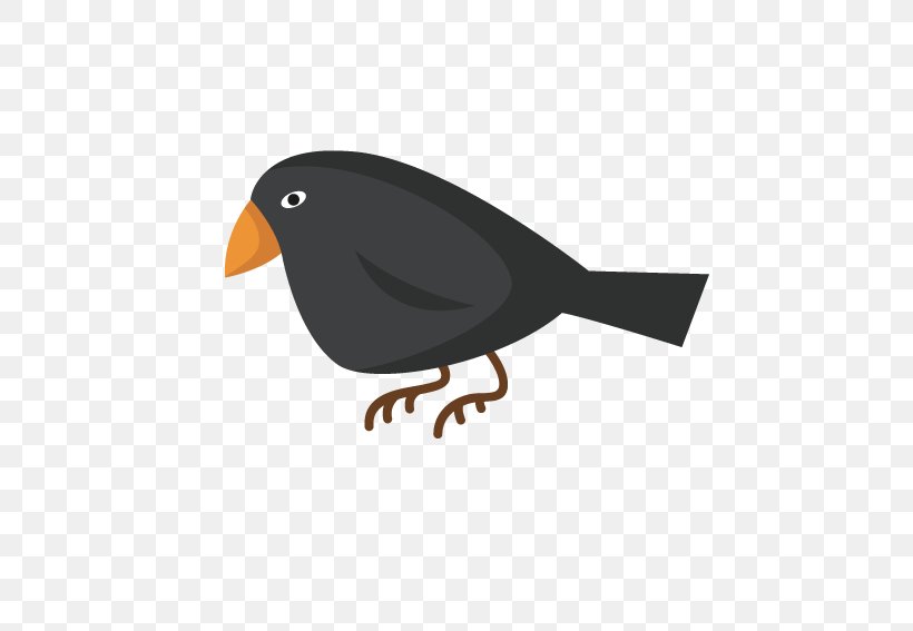 Crows Eating Crow, PNG, 567x567px, Crows, Animation, Beak, Bird, Crow Download Free