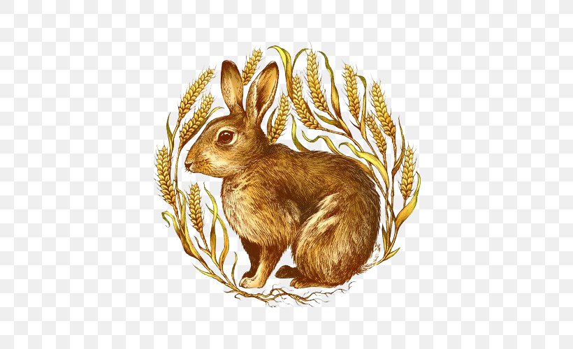 Domestic Rabbit Hare Illustrator, PNG, 500x500px, Domestic Rabbit, Art, Creative Work, Designer, Fauna Download Free