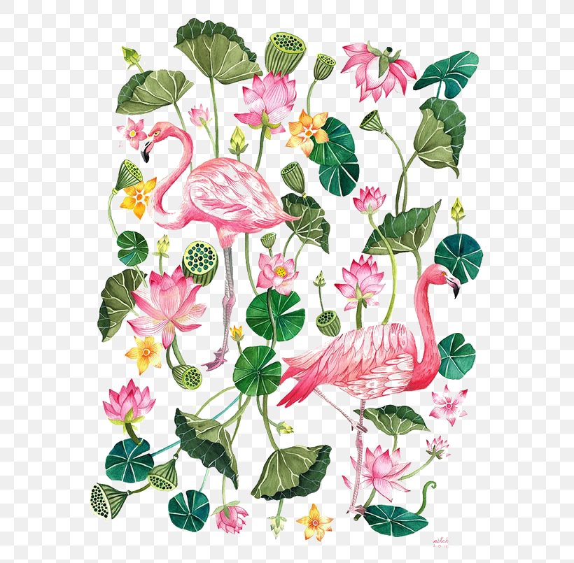 Flamingo Printing T-shirt Illustration, PNG, 564x805px, Iphone 7 Plus, Annual Plant, Art, Cut Flowers, Drawing Download Free