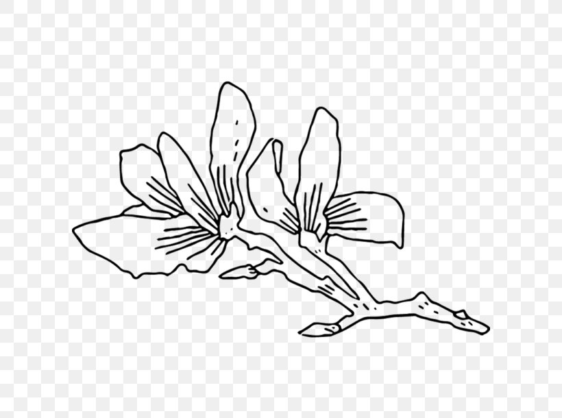 Floral Design Drawing Visual Arts, PNG, 610x610px, Floral Design, Arm, Art, Artwork, Black Download Free