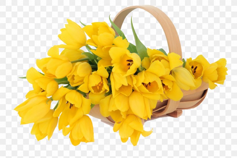 Flower Bouquet Tulip Yellow Stock Photography, PNG, 1280x853px, Flower, Color, Cut Flowers, Daffodil, Easter Egg Download Free