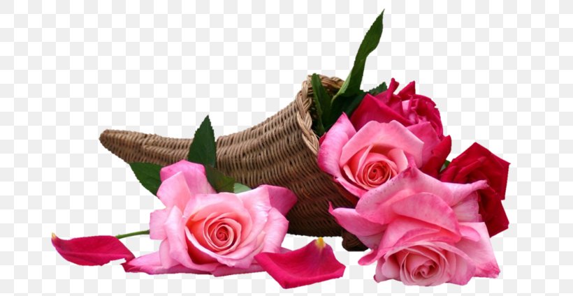 Garden Roses Cut Flowers Floral Design Flower Bouquet, PNG, 684x424px, Garden Roses, Akhir Pekan, Artificial Flower, Birthday, Blume Download Free