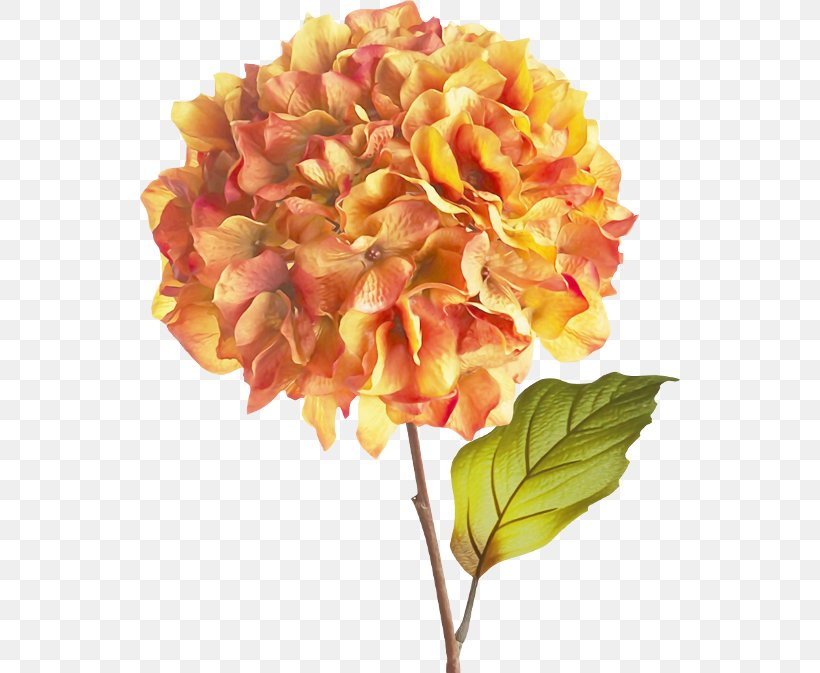 Hydrangea Cut Flowers Floral Design Flower Bouquet, PNG, 540x673px, Hydrangea, Artificial Flower, Cornales, Cut Flowers, Floral Design Download Free