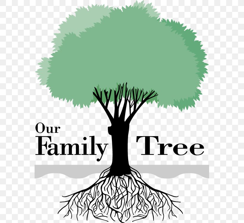 Your Family Tree Genealogy Clip Art, PNG, 588x750px, Family Tree, Ancestor, Area, Artwork, Black And White Download Free