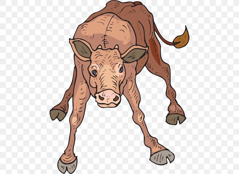 Beef Cattle Calf Bull Clip Art, PNG, 480x595px, Beef Cattle, Animal Figure, Bull, Calf, Cartoon Download Free