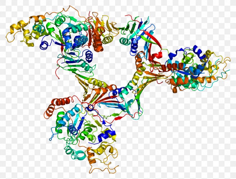 Flap Structure-specific Endonuclease 1 Protein DNA, PNG, 1081x822px, Endonuclease, Art, Bloom Syndrome, Body Jewelry, Dna Download Free