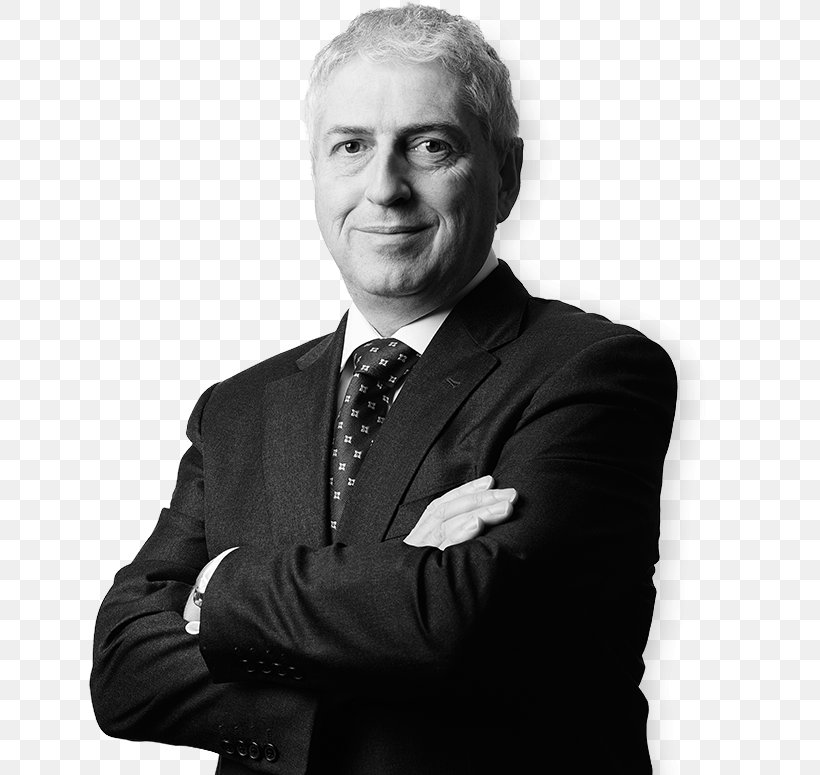 Lawyer Sorrento Torre Annunziata Business Executive, PNG, 648x775px, Lawyer, Black And White, Business, Business Executive, Businessperson Download Free