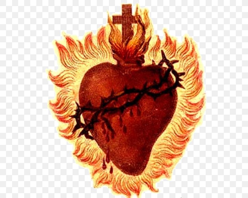 Sacred Heart Prayer First Friday Devotion Morning Offering Holy Spirit, PNG, 800x656px, Watercolor, Cartoon, Flower, Frame, Heart Download Free