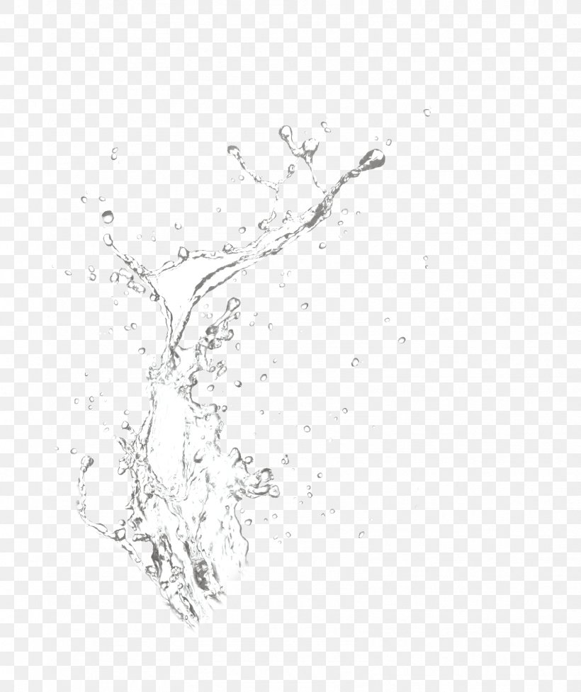 Splash Drop Water, PNG, 1606x1915px, Splash, Aerosol Spray, Black And White, Drop, Liquid Download Free