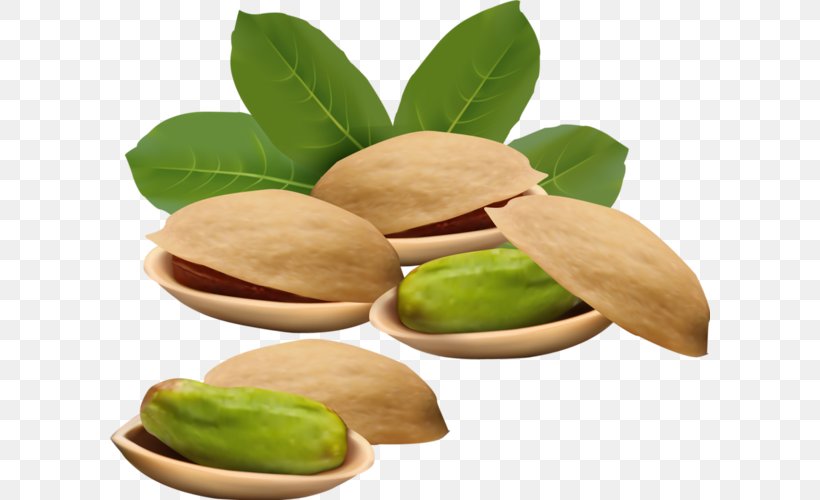 Vector Graphics Royalty-free Nut Pistachio Illustration, PNG, 600x500px, Royaltyfree, Almond, Cashew, Cashew Family, Food Download Free