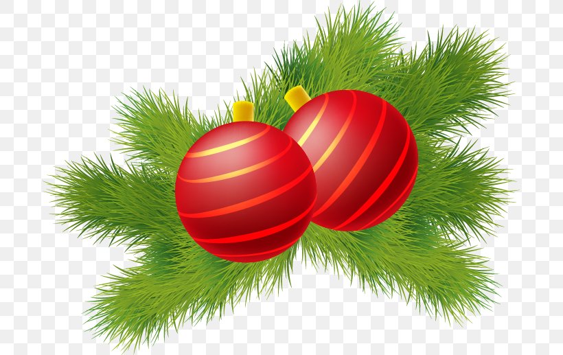 Christmas Ornament Red Green, PNG, 695x517px, Christmas Ornament, Ball, Blue, Branch, Christmas Download Free