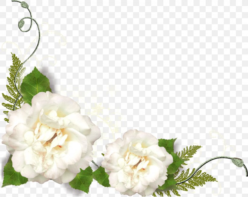 Flower Photography Clip Art, PNG, 1600x1272px, Flower, Albom, Branch, Cut Flowers, Floral Design Download Free