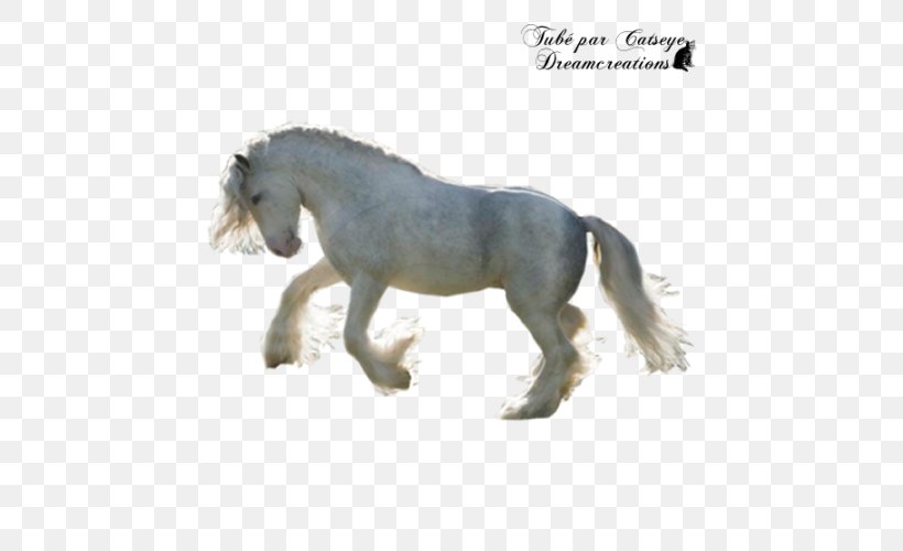 Mane Mustang Stallion Pony Mare, PNG, 600x500px, Mane, Animal Figure, Figurine, Grass, Horse Download Free