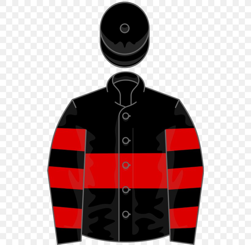 Thoroughbred, PNG, 512x799px, Thoroughbred, Brand, Horse, Horse Racing, Jacket Download Free