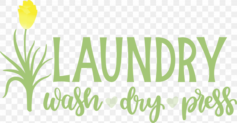 Logo Leaf Font Green Meter, PNG, 3000x1561px, Laundry, Biology, Dry, Flower, Green Download Free