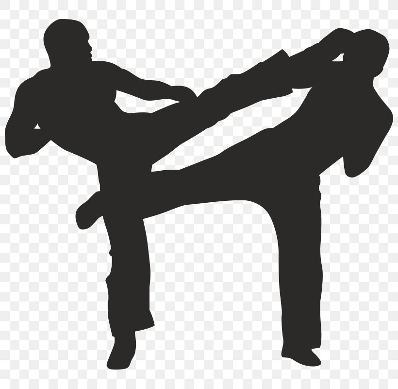 Silhouette Mixed Martial Arts Kickboxing, PNG, 800x800px, Silhouette, Black And White, Boxing, Combat, Fist Download Free