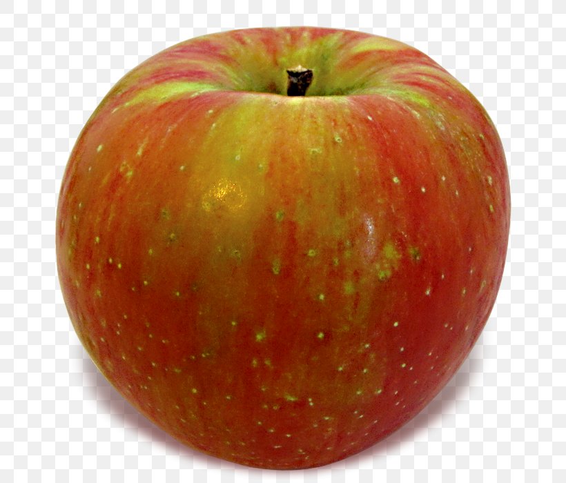 Apple Pie Honeycrisp Food, PNG, 717x700px, Apple, Accessory Fruit, Apple Pie, Cortland, Crisp Download Free