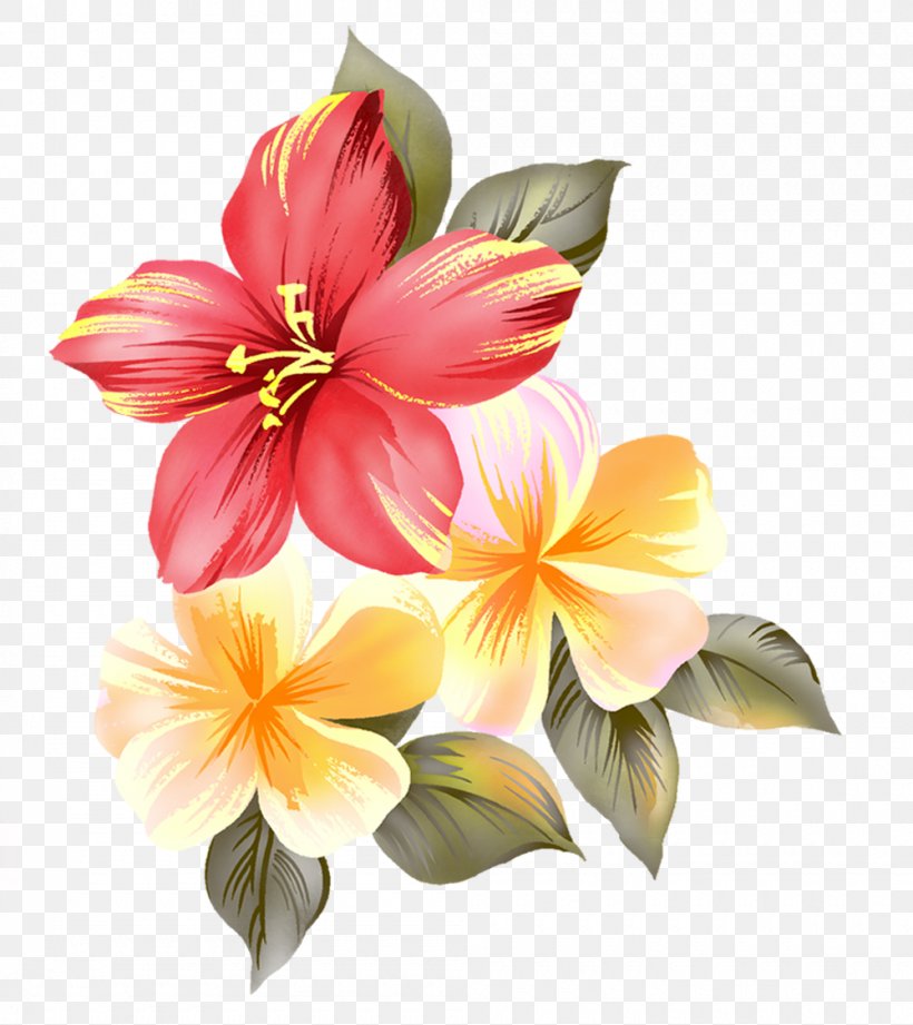 Flower Raster Graphics Clip Art, PNG, 1000x1124px, Flower, Albom, Alstroemeriaceae, Amaryllis Belladonna, Cut Flowers Download Free