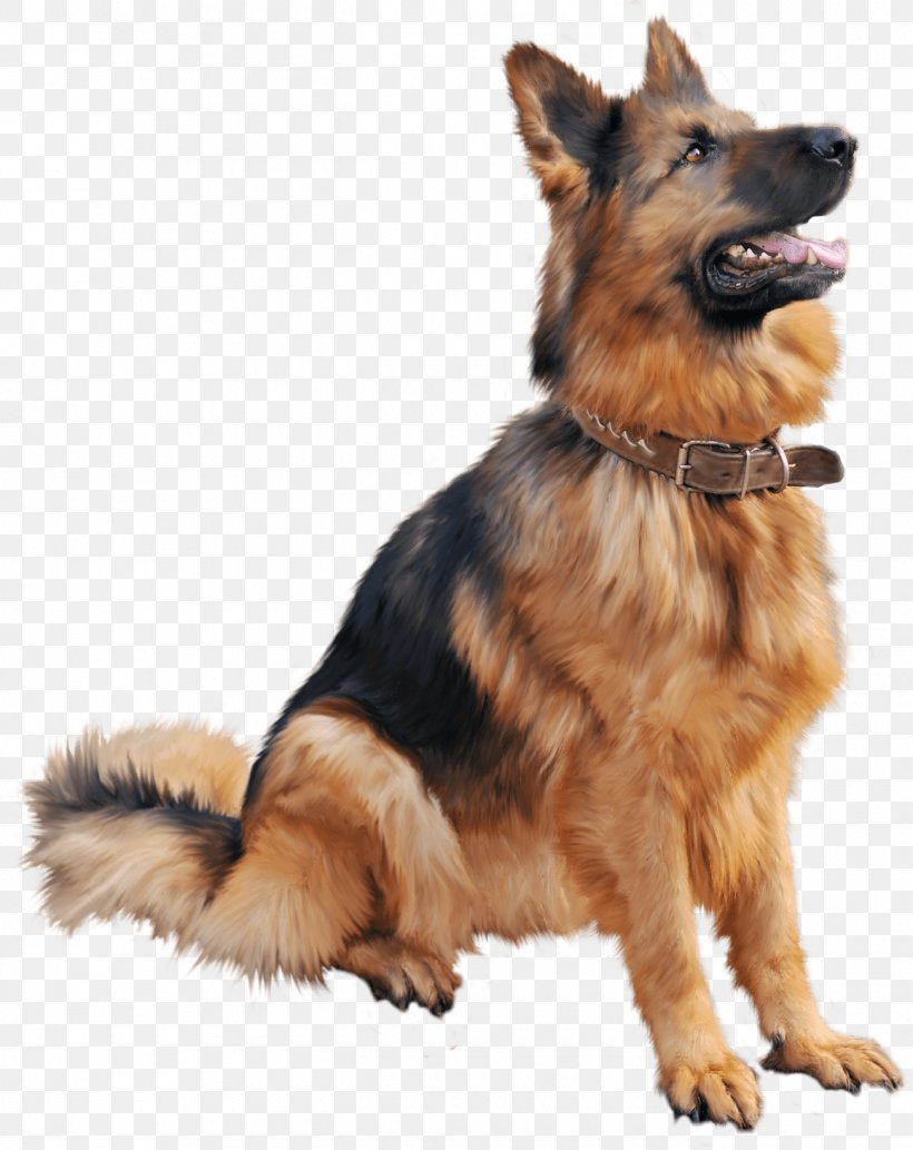 Golden Retriever Labrador Retriever Puppy Clip Art, PNG, 1300x1639px, Golden Retriever, Animal, Carnivoran, Companion Dog, Dog Download Free